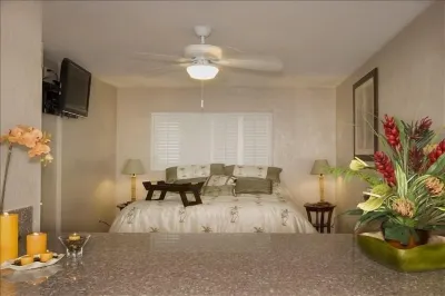 Stunning Oceanfront Condo with A/C...... You Will Not Be Disappointed 沉船海灘附近的飯店