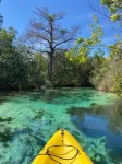 Main River house: Includes Kayaks, Canoe, Game Rm, Weeki Spring behind home,