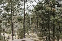 Whimsical Dreams - Firepit- Kids Fort