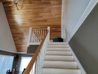 A family cabin inside the woods