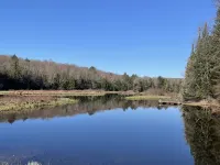 Charming ADK Retreat Walking Distance to Town and River ウェッブのホテル