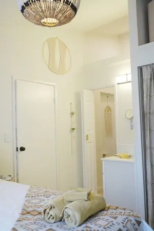 Downtown Vaulted Luxe Haus-near Napa. Walk Downtown. Pet-Friendly!