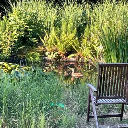 Wunderschöne Fewo, 15 Min von Nürnberg