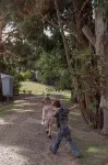 Berrys Creek Farm Stay