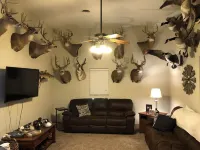 Outdoorsman Paradise- 1/2 mile from Lake Oahe Hotels in Hughes County