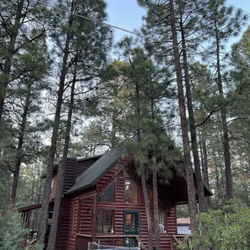 Life is better in a cabin.