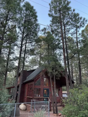 Life is better in a cabin.