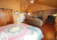 HONEYMOON HIDEAWAY - SECLUDED ANTIQUE LOG CABIN WITH AMAZING VIEWS!!!