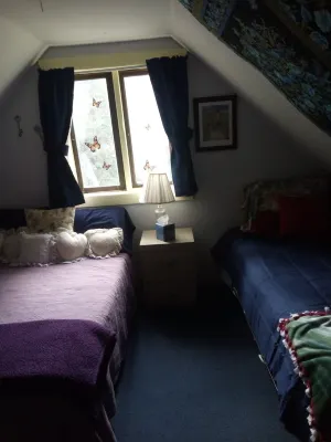 Quiet, cozy, comfortable, centrally located to the best of the Kenai peninsula.