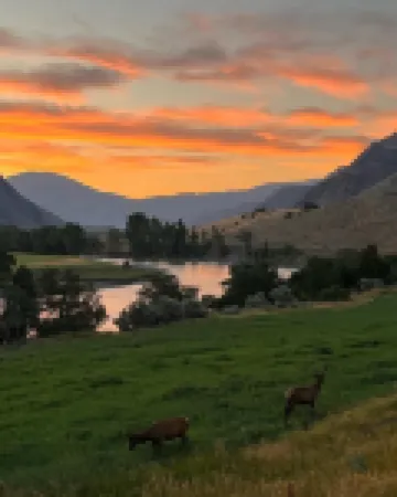 Studio apartment on the banks of Yellowstone River