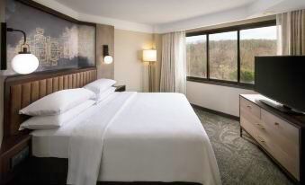 Embassy Suites by Hilton Tysons Corner