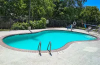 Holiday Inn Express & Suites NEW BRAUNFELS by IHG - Uima-altaat