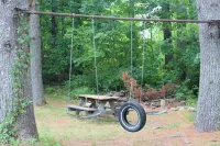 Secluded Cabin on 400 Acres: Swim, Hike, Fish, Relax, PLAY!