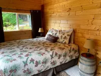 Beautiful Vacation Home On Lake Huron - WiFi, Beach Fire Pit, Bridge View