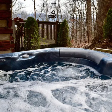 Quaint, Romantic Mountain Antique Log Cabin Near Asheville!