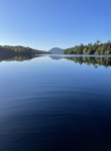 Tall Pines Retreat, Somesville|Mt. Desert. 15 min to Bar Harbor, 5 to Acadia