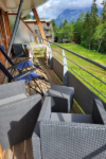 V du Bachat Asters B