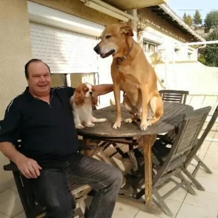 La Meridienne