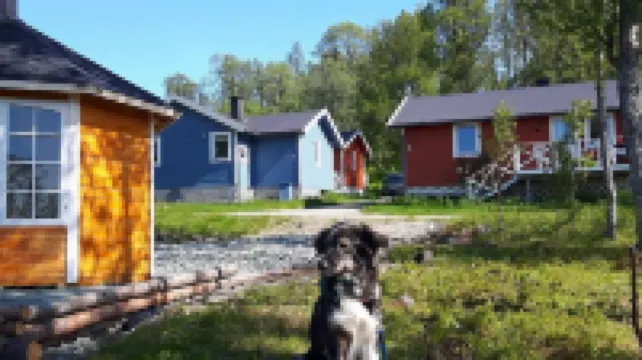 Svensby Tursenter Hôtels à : Lyngen