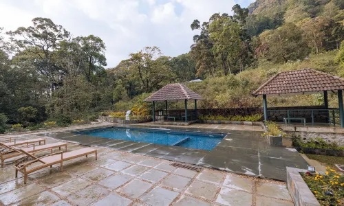 Elixir Woods Luxury Resort and Spa, Munnar