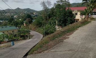 Near Ferry, Airport, Shops, Beaches, Atms, Rodney Bay and Castries - Free Pickup