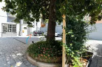 Govone Fashion House Hotels in Simonetta