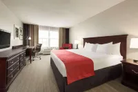 Country Inn & Suites by Radisson, Kansas City at Village West, KS - gimnasio