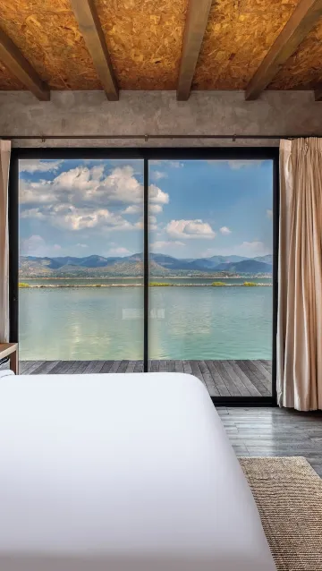 South The Scene Standard