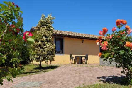 Podere la Damesca - Agriturismo "La Fraschetta" Отели в г. Аквапенденте