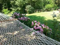 Forest View B&B Hotels in Gavi
