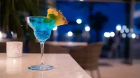 Hotel Negresco - Adults Only - С баром