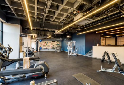 2. 유리브 시벨레스..