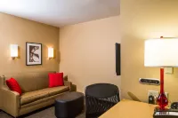 SpringHill Suites by Marriott Appleton - Family Friendly