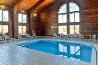 Quality Inn - piscina
