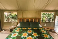 Ikurangi Eco Retreat