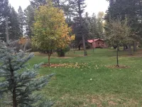 Swan Mntn View--Entire, Private Basement Suite, Close to GNP, Whitefish & Lake.