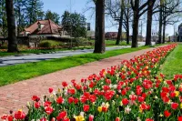 Large Condo Near Biltmore Estate