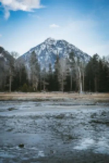 Mountain View Cottage, Walk Everywhere, Huge Fenced Yard 約瑟夫酒店