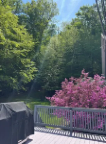 Harvey’s Lake —Million dollar views Hotels in Harveys Lake