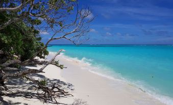 Coco Villa