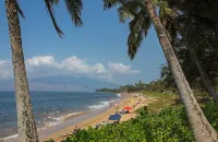 Maui Coast Hotel - Beach