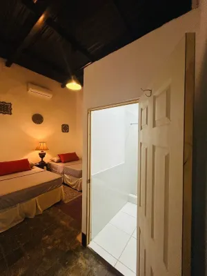 Urban Nest Hostel Hotels in 