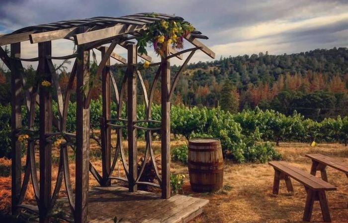 Papillon Cellars - the Loft