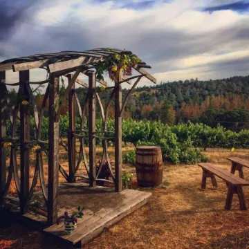 Papillon Cellars - the Loft