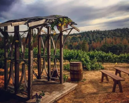 Papillon Cellars - the Loft Hotels in Mariposa