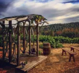 Papillon Cellars - the Loft - Wifi