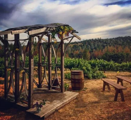 Papillon Cellars - the Loft Hotels in Mariposa