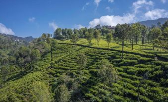 Amã Stays & Trails Aberdeen, Coonoor
