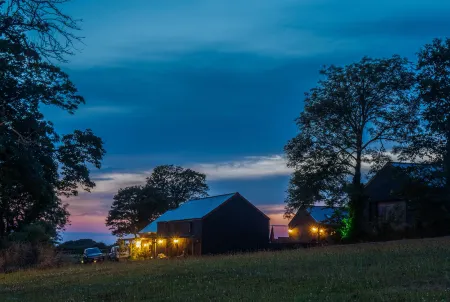 American School Bus - Blossom Farm