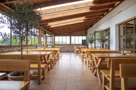 Amenity Penzion Horni Vestonice Отели в г. Hustopece